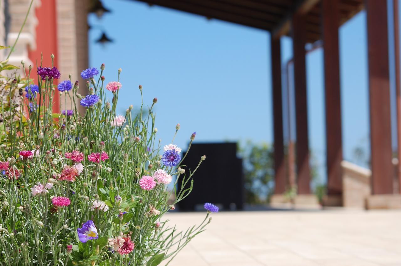 Country House Ciliegia Rossa Colonnella Bagian luar foto